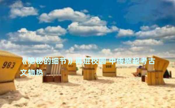 《隐秘的细节》再进校园 中传掀起考古文物热